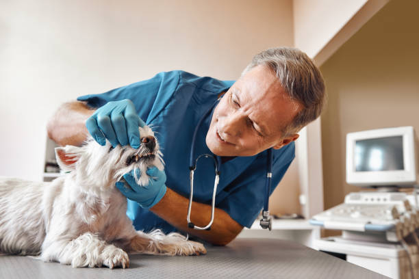 Best Pediatric Emergency Dentist in Galveston, TX
